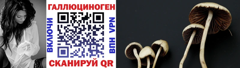 Псилоцибиновые грибы MAGIC MUSHROOMS  Купить  Ноябрьск 